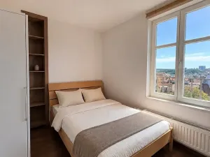 Prodej bytu 2+kk, Praha - Vršovice, Krymská, 36 m2