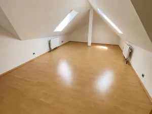 Pronájem bytu 5+kk, Praha - Vinohrady, Mánesova, 300 m2