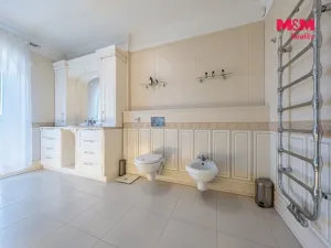 Prodej kanceláře, Šestajovice, U Váhy, 356 m2