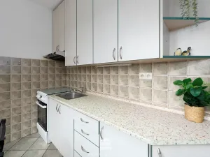 Prodej bytu 2+1, Brno, náměstí SNP, 55 m2