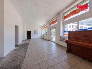 Prodej rodinného domu, Aš, Saská, 300 m2