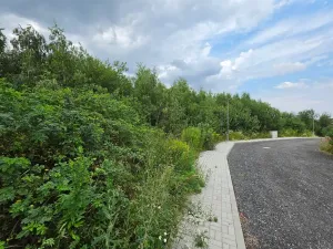 Prodej pozemku pro bydlení, Štíhlice, 3092 m2