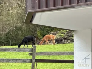 Prodej bytu 3+1, Bad Kleinkirchheim, Rakousko, Maibrunnenweg, 63 m2