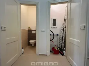Pronájem bytu 2+1, Brno, Gorkého, 68 m2
