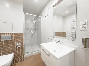 Pronájem bytu 1+kk, Praha - Žižkov, Olšanská, 35 m2
