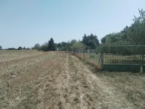 Prodej zahrady, Blížkovice, 767 m2