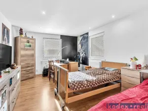 Prodej rodinného domu, Hradec Králové, U Jednoty, 300 m2