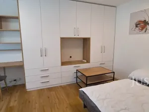 Pronájem bytu 1+1, Písek, 17. listopadu, 41 m2