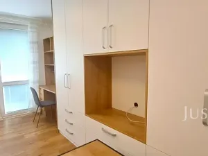 Pronájem bytu 1+1, Písek, 17. listopadu, 41 m2