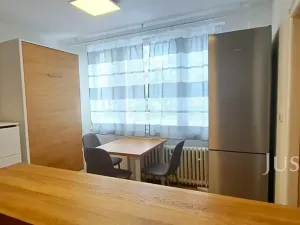 Pronájem bytu 1+1, Písek, 17. listopadu, 41 m2