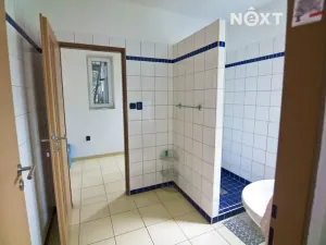 Prodej obchodního prostoru, Soběslav, Wilsonova, 490 m2