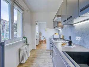 Pronájem bytu 2+1, Most, Jaroslava Vrchlického, 54 m2