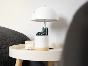 Prodej bytu 2+kk, Pasohlávky, 53 m2