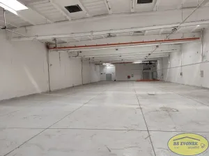 Pronájem skladu, Olomouc, Hamerská, 1000 m2