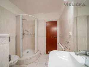 Prodej rodinného domu, Brno - Husovice, Hálkova, 200 m2