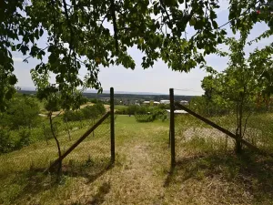 Prodej sadu/vinice, Bzenec, 2460 m2