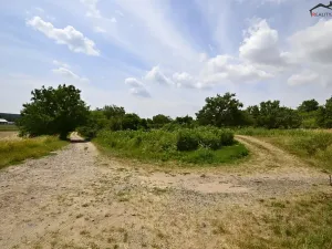 Prodej sadu/vinice, Bzenec, 2460 m2