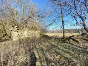 Dražba pozemku pro bydlení, Dolní Dvořiště, 11107 m2