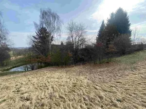 Dražba pozemku pro bydlení, Nové Hrady, 2407 m2