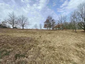 Dražba pozemku pro bydlení, Nové Hrady, 2407 m2