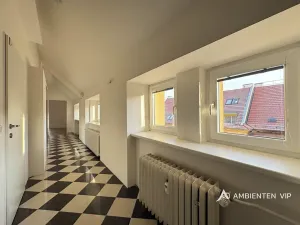 Prodej bytu 1+1, Brno, Čápkova, 54 m2