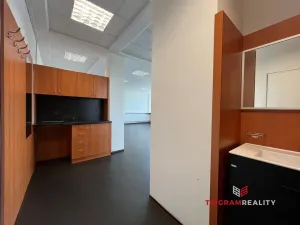 Pronájem kanceláře, Hradec Králové - Slezské Předměstí, Jižní, 113 m2