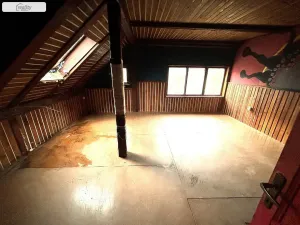 Prodej chaty, Teplá - Staré Sedlo, 400 m2