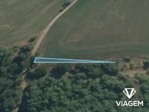 Prodej pole, Máslovice, 162 m2