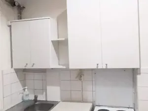 Pronájem bytu 2+kk, Praha - Vinohrady, 47 m2