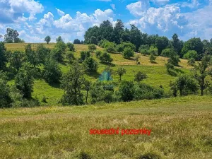 Prodej pozemku, Josefov - Hřebeny, 2674 m2