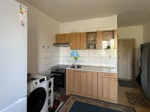 Prodej bytu 1+1, Plesná, Světlá, 35 m2