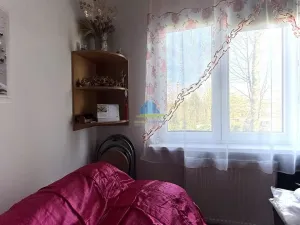 Prodej bytu 1+1, Plesná, Světlá, 35 m2