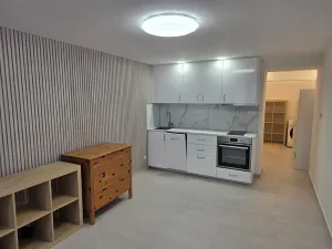Pronájem bytu 1+kk, Praha, Nad olšinami, 27 m2