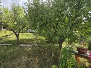 Prodej rodinného domu, Bílovice nad Svitavou, Dobrovského, 93 m2