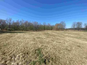 Prodej pozemku, Dolní Dvořiště - Všeměřice, 11107 m2