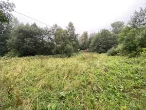 Prodej pozemku, Andělská Hora - Pustá Rudná, 1758 m2