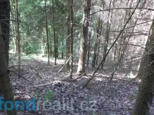 Prodej pozemku, Dolní Dobrouč, 4634 m2