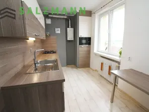 Pronájem bytu 3+1, Plzeň, Pod Švabinami, 74 m2
