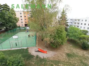 Pronájem bytu 3+1, Plzeň, Pod Švabinami, 74 m2