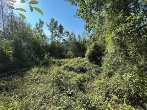 Prodej pozemku pro bydlení, Praha - Klánovice, V koutku, 924 m2