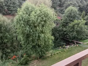 Pronájem bytu 1+1, Luhačovice, 35 m2