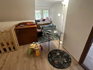 Prodej chalupy, Desná, Krkonošská, 380 m2