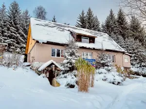 Prodej chalupy, Desná, Krkonošská, 380 m2