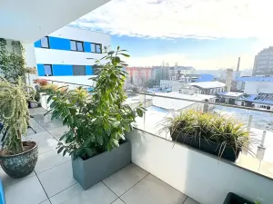 Pronájem bytu 2+kk, Brno, Křenová, 72 m2