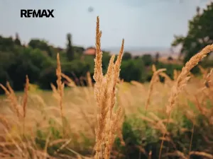 Prodej rodinného domu, Dlouhá Loučka, 192 m2