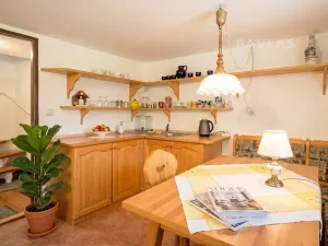 Prodej rodinného domu, Černovice, Husovy sady, 240 m2