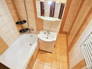 Pronájem bytu 2+1, Opava, Na Pastvisku, 44 m2