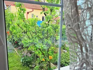 Pronájem bytu 2+kk, Brno, Berkova, 45 m2