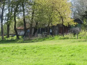 Dražba pole, Křemže, 2210 m2