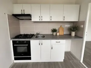 Pronájem bytu 4+1, Litvínov, Valdštejnská, 69 m2